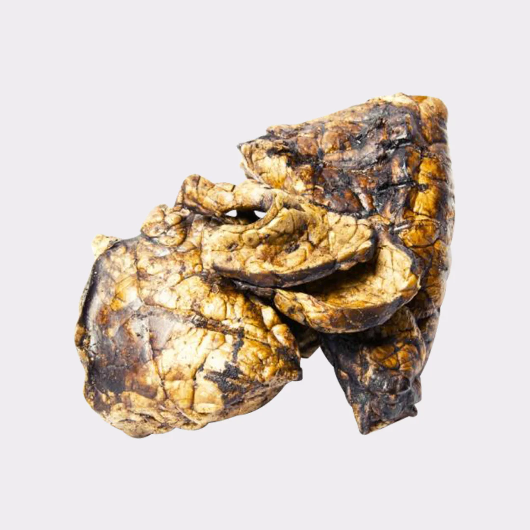 Beef Lung